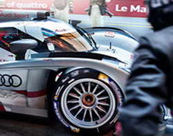 В Курской области подешевели помидоры и молочная продукция