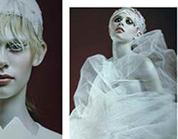 В областной администрации прокомментировали скандал вокруг увольнения директора курской филармонии