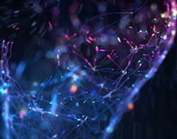 В Курске Центр компетенций и администрация города украшают «Красный лес»