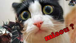 В Курске по подозрению в краже из ТЦ разыскивают парня и девушку