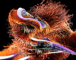 В Курске погиб пассажир автомобиля, который въехал в опору контактной сети трамвая