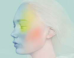 «Кино в театре» приглашает маленьких курян посмотреть «Птичий дозор»