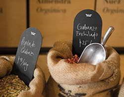 Куряне отмечают Всемирный день кошек