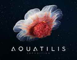 Село Долгое Белгородской области подверглось обстрелу со стороны ВСУ