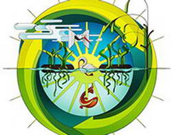 В Курчатове водитель переехал лежащего на дороге мужчину и скрылся