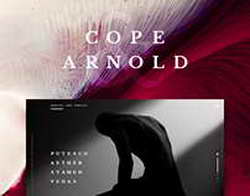 В курском «Динамо» выбрали нового капитана