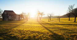 Курская область представит экспозицию на фестивале «Таврида-АРТ»