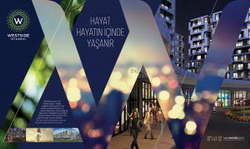 Роман Алёхин предлагает идеи для развития Курской области